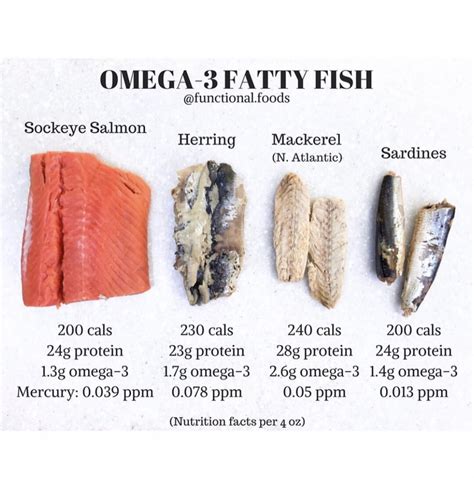 good fatty fish|The New Low.